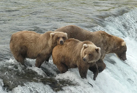 Stocks: We 'have reached peak bearishness' amid recession and Fed fears, Citi says